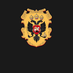 Свитшот хлопковый мужской Герб РФ щит, цвет: черный — фото 2