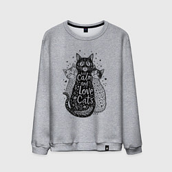 Мужской свитшот Keep calm and love cats