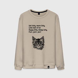 Свитшот хлопковый мужской Колыбельная котёнка, цвет: миндальный