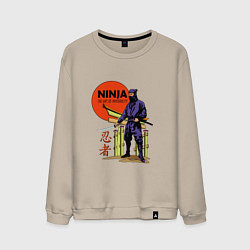 Мужской свитшот Опасный ниндзя