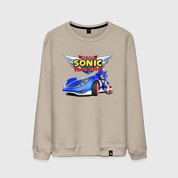 Мужской свитшот Cool hedgehog - Sonic racing team