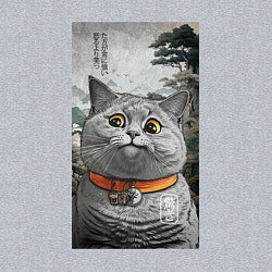 Свитшот хлопковый мужской Мемный кот в японском стиле, цвет: меланж — фото 2