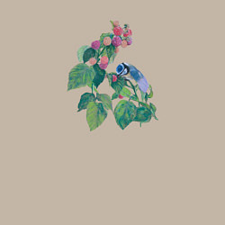 Свитшот хлопковый мужской Синица на малине, цвет: миндальный — фото 2