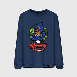 Мужской свитшот Mandrill