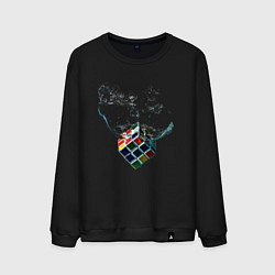 Свитшот хлопковый мужской Рубик в воде, цвет: черный