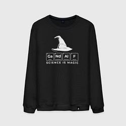 Мужской свитшот Gendalf science is magic