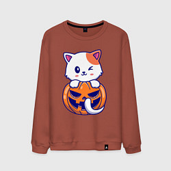 Свитшот хлопковый мужской Halloween meow, цвет: кирпичный