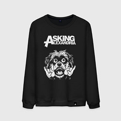 Свитшот хлопковый мужской Asking Alexandria rock dog, цвет: черный