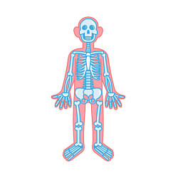 Свитшот хлопковый мужской Скелетик, цвет: белый — фото 2