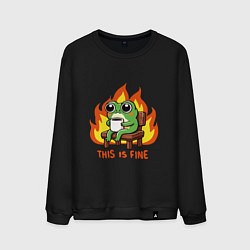 Свитшот хлопковый мужской Frog - this is fine, цвет: черный
