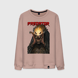Мужской свитшот Predator scream