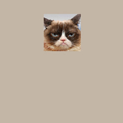 Свитшот хлопковый мужской Сердитая Кошка для пары, цвет: миндальный — фото 2