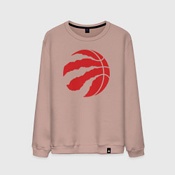 Свитшот хлопковый мужской Raptors ball, цвет: пыльно-розовый