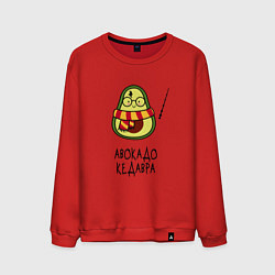 Свитшот хлопковый мужской Авокадо кедавра - мем Гарри Поттер, цвет: красный
