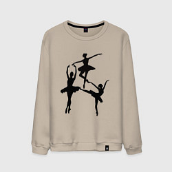 Мужской свитшот Вариация балерины