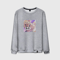 Свитшот хлопковый мужской Протеиновый кот, цвет: меланж