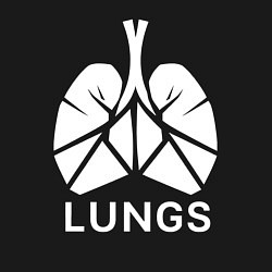 Свитшот хлопковый мужской Легкие сигментарно, цвет: черный — фото 2