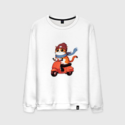 Свитшот хлопковый мужской Кот в шапке на скутере, цвет: белый