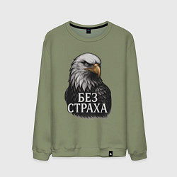 Мужской свитшот Орел - без страха