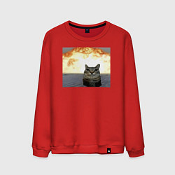 Мужской свитшот Кот со взрывом - silly cat meme