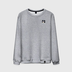 Мужской свитшот Панк кот