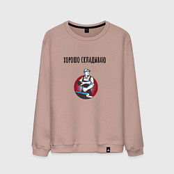 Свитшот хлопковый мужской Хорошо складываю, цвет: пыльно-розовый