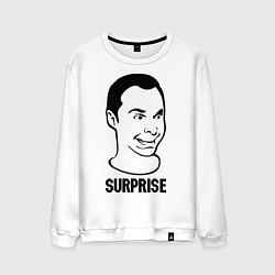 Мужской свитшот Sheldon surprise