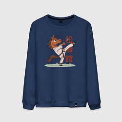 Свитшот хлопковый мужской Иго-го каратист, цвет: тёмно-синий