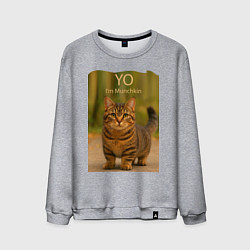Мужской свитшот Yo - Im Munchkin