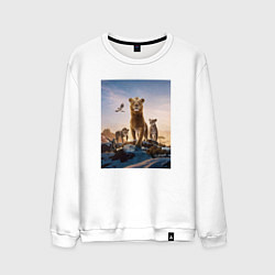 Мужской свитшот Семья львов