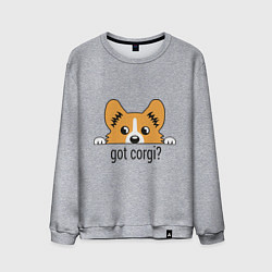 Мужской свитшот Got Corgi