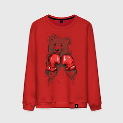 Свитшот хлопковый мужской Bear Boxing, цвет: красный