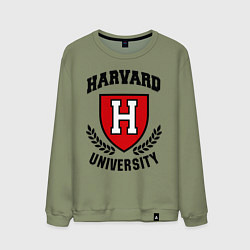 Мужской свитшот Harvard University