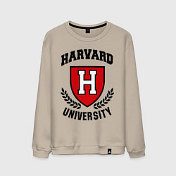 Мужской свитшот Harvard University