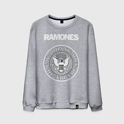 Мужской свитшот Ramones