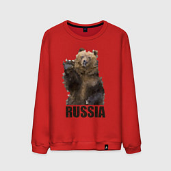 Мужской свитшот Russia: Poly Bear