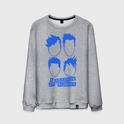 Свитшот хлопковый мужской 5 Seconds Of Summer, цвет: меланж