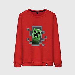Свитшот хлопковый мужской Creeper Inside, цвет: красный