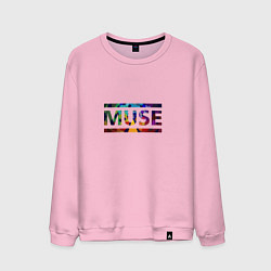Мужской свитшот Muse Colour