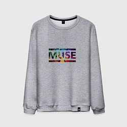 Мужской свитшот Muse Colour