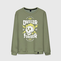 Свитшот хлопковый мужской Dweller Forever, цвет: авокадо