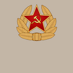 Свитшот хлопковый мужской Кокарда СССР, цвет: миндальный — фото 2