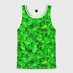 Мужская майка без рукавов Зелёные листья - текстура