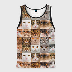 Майка-безрукавка мужская Pedigreed cats, цвет: 3D-черный
