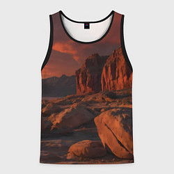 Мужская майка без рукавов Ночной каньон
