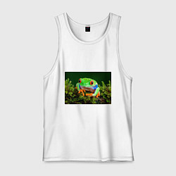 Майка мужская хлопок Тропическая лягушка, цвет: белый