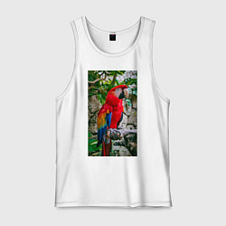 Майка мужская хлопок Попугай во всей красе, цвет: белый