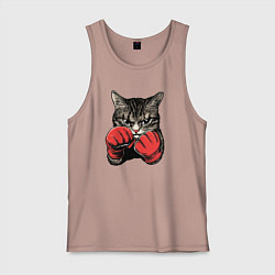 Мужская майка Кот боксер