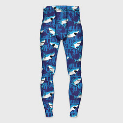 Мужские тайтсы Акулы SURF