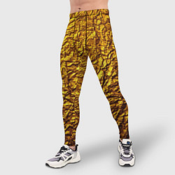 Тайтсы мужские Золотая фольга, цвет: 3D-принт — фото 2